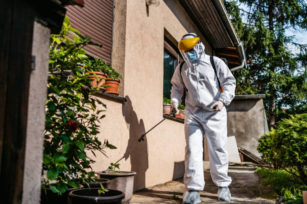 Best Wasp Removal Services  in Mattawan, MI