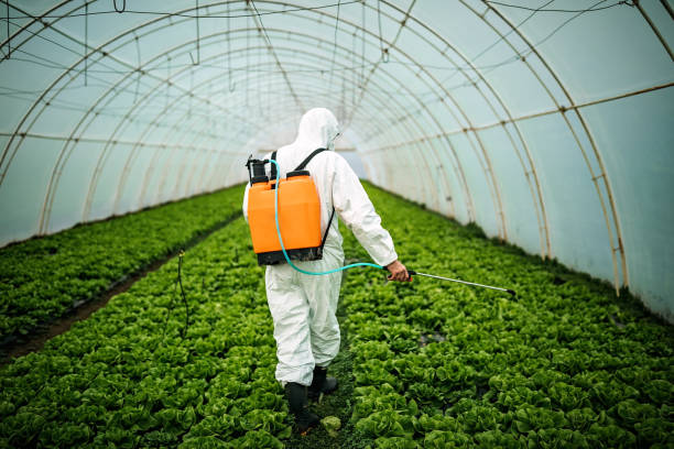 Best Residential Pest Control  in Mattawan, MI