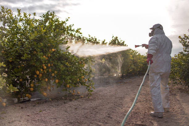 Best Exterminator Services  in Mattawan, MI