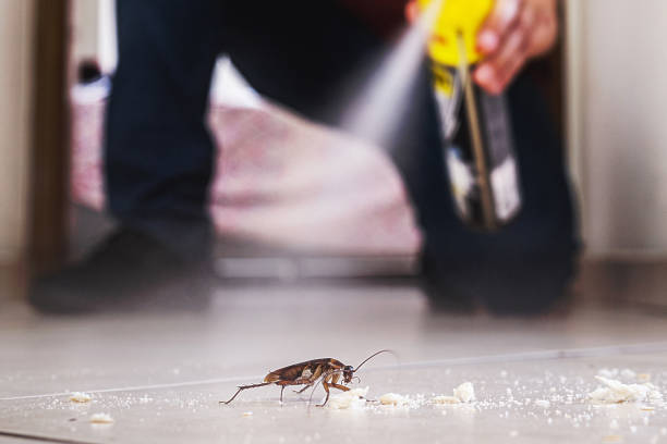 Best Cockroach Control Services  in Mattawan, MI