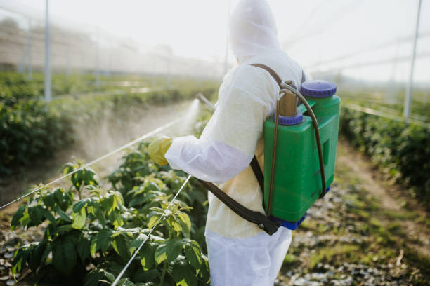 Best Flea Control Services  in Mattawan, MI